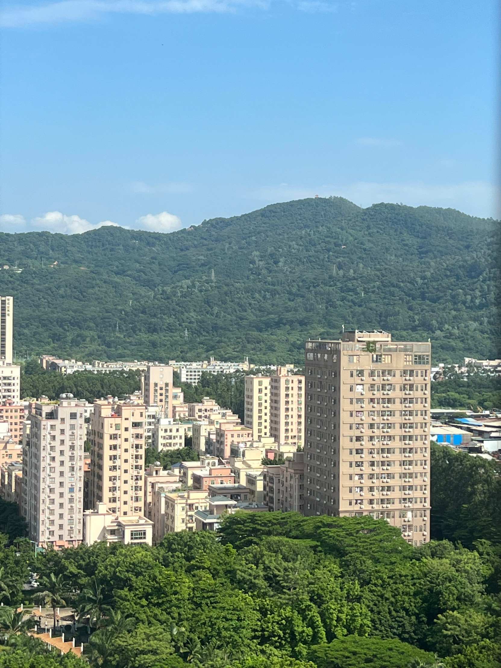 合一鳳凰智慧港3室2廳出租租金3500元/月