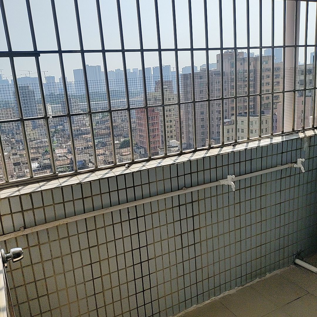 樓村新村1室1廳出租租金1100元/月